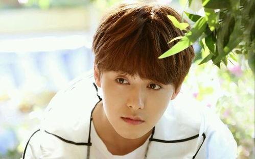 爆料马天宇唱歌视频大全,经典曲目回顾