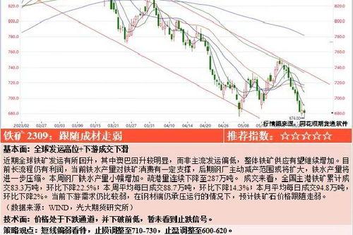 新瓜最新爆料资源下载,独家资源下载全攻略